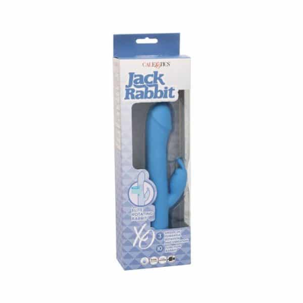 Jack Rabbit