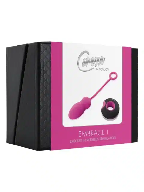 Embrace I Remote Control Egg